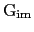 $\rm G_{im}$